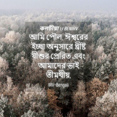 Picture 04 - কলচীয়া 1:1 BENIRV - আমি পৌল, ঈশ্বরের - Bible Verse Picture
