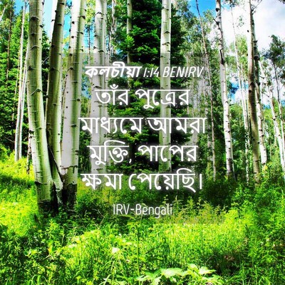 Picture 04 - কলচীয়া 1:14 BENIRV - তাঁর পুত্রের - Bible Verse Picture