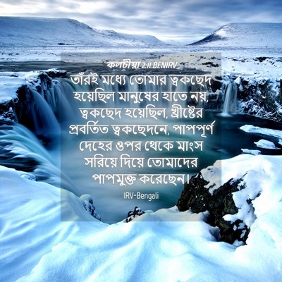 Picture 04 - কলচীয়া 2:11 BENIRV - তাঁরই মধ্যে তোমার - Bible Verse Picture