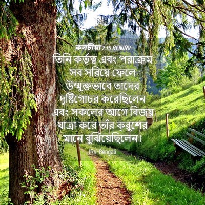 Picture 04 - কলচীয়া 2:15 BENIRV - তিনি কর্তৃত্ব এবং - Bible Verse Picture