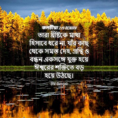 Picture 04 - কলচীয়া 2:19 BENIRV - তারা খ্রীষ্টকে - Bible Verse Picture