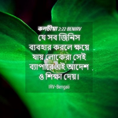 Picture 04 - কলচীয়া 2:22 BENIRV - যে সব জিনিস - Bible Verse Picture
