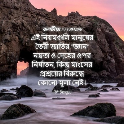 Picture 04 - কলচীয়া 2:23 BENIRV - এই নিয়মগুলি - Bible Verse Picture