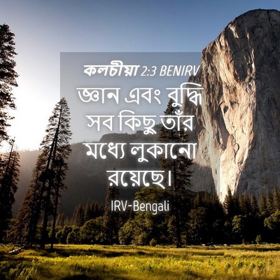 Picture 04 - কলচীয়া 2:3 BENIRV - জ্ঞান এবং বুদ্ধি - Bible Verse Picture