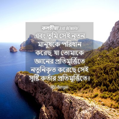 Picture 04 - কলচীয়া 3:10 BENIRV - এবং তুমি সেই নূতন - Bible Verse Picture