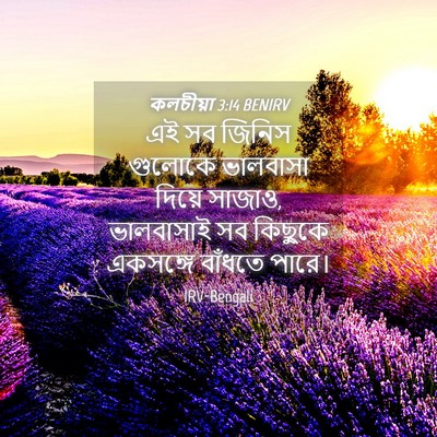 Picture 04 - কলচীয়া 3:14 BENIRV - এই সব জিনিস গুলোকে - Bible Verse Picture