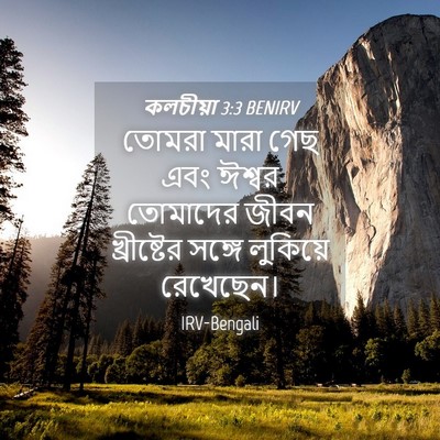 Picture 04 - কলচীয়া 3:3 BENIRV - তোমরা মারা গেছ এবং - Bible Verse Picture