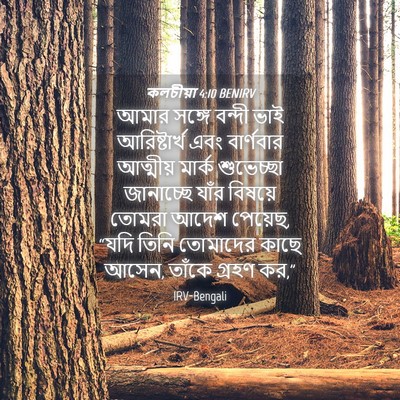 Picture 04 - কলচীয়া 4:10 BENIRV - আমার সঙ্গে বন্দী - Bible Verse Picture