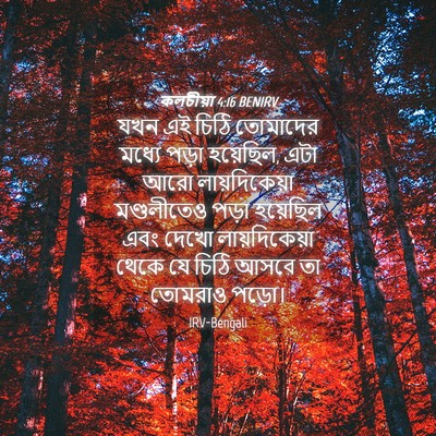 Picture 04 - কলচীয়া 4:16 BENIRV - যখন এই চিঠি - Bible Verse Picture