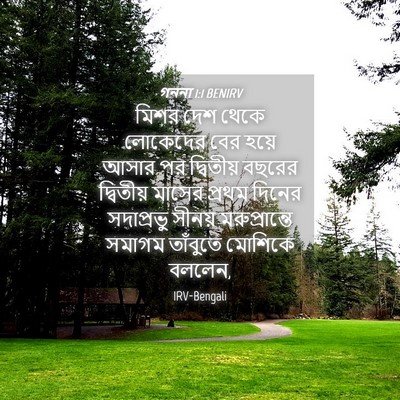 Picture 04 - গননা 1:1 BENIRV - মিশর দেশ থেকে - Bible Verse Picture