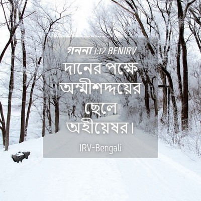 Picture 04 - গননা 1:12 BENIRV - দানের পক্ষে - Bible Verse Picture
