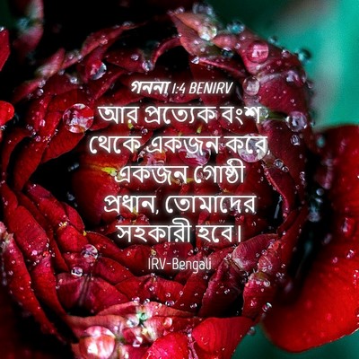 Picture 04 - গননা 1:4 BENIRV - আর প্রত্যেক বংশ - Bible Verse Picture