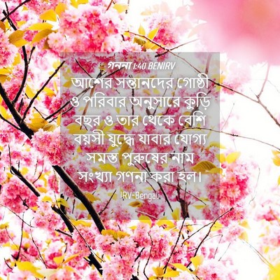 Picture 04 - গননা 1:40 BENIRV - আশের সন্তানদের - Bible Verse Picture