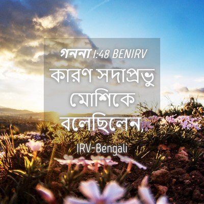 Picture 04 - গননা 1:48 BENIRV - কারণ সদাপ্রভু - Bible Verse Picture