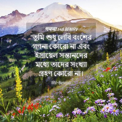 Picture 04 - গননা 1:49 BENIRV - “তুমি শুধু লেবি - Bible Verse Picture