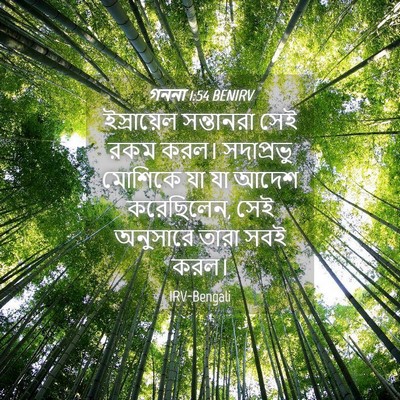 Picture 04 - গননা 1:54 BENIRV - ইস্রায়েল - Bible Verse Picture
