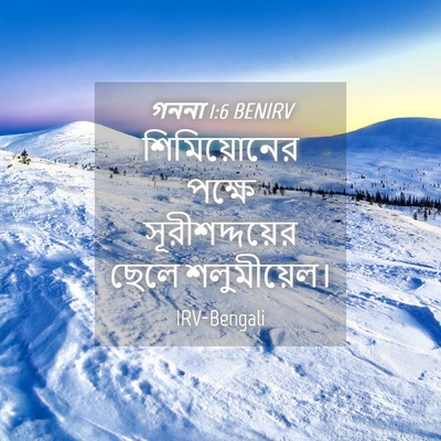 Picture 04 - গননা 1:6 BENIRV - শিমিয়োনের পক্ষে - Bible Verse Picture