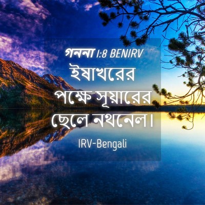 Picture 04 - গননা 1:8 BENIRV - ইষাখরের পক্ষে - Bible Verse Picture