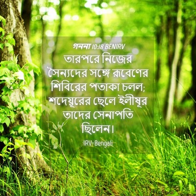 Picture 04 - গননা 10:18 BENIRV - তারপরে নিজের - Bible Verse Picture
