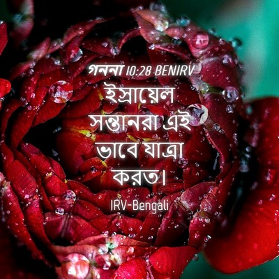 Picture 04 - গননা 10:28 BENIRV - ইস্রায়েল - Bible Verse Picture