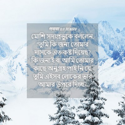 Picture 04 - গননা 11:11 BENIRV - মোশি সদাপ্রভুকে - Bible Verse Picture