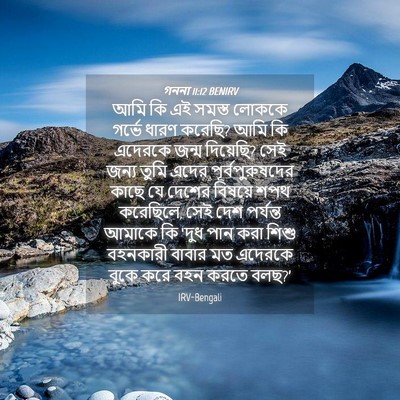 Picture 04 - গননা 11:12 BENIRV - আমি কি এই সমস্ত - Bible Verse Picture