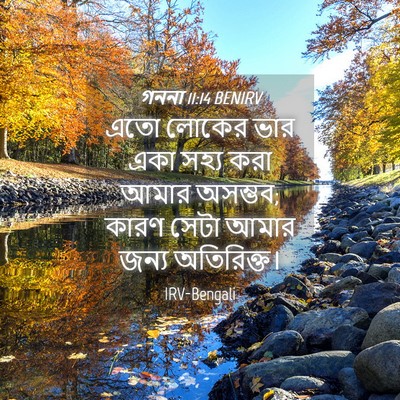 Picture 04 - গননা 11:14 BENIRV - এতো লোকের ভার একা - Bible Verse Picture