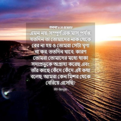 Picture 04 - গননা 11:20 BENIRV - এমন নয়; সম্পূর্ণ - Bible Verse Picture