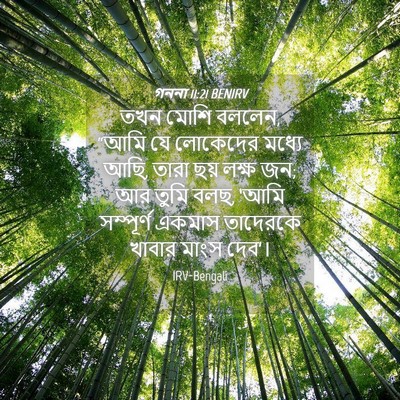 Picture 04 - গননা 11:21 BENIRV - তখন মোশি বললেন, - Bible Verse Picture