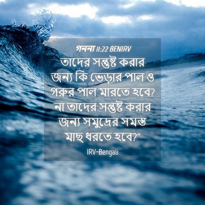 Picture 04 - গননা 11:22 BENIRV - তাদের সন্তুষ্ট - Bible Verse Picture