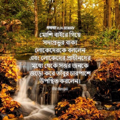 Picture 04 - গননা 11:24 BENIRV - মোশি বাইরে গিয়ে - Bible Verse Picture
