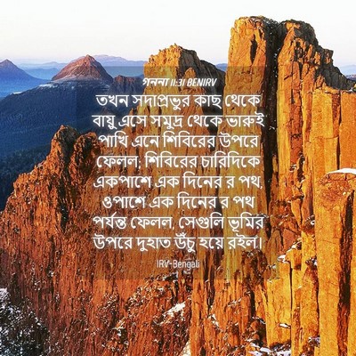 Picture 04 - গননা 11:31 BENIRV - তখন সদাপ্রভুর কাছ - Bible Verse Picture