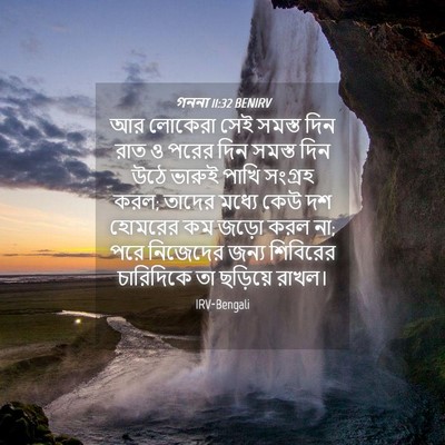 Picture 04 - গননা 11:32 BENIRV - আর লোকেরা সেই - Bible Verse Picture