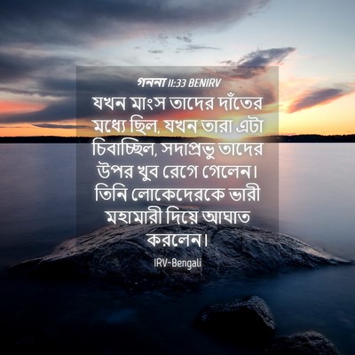 Picture 04 - গননা 11:33 BENIRV - যখন মাংস তাদের - Bible Verse Picture