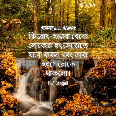 Picture 04 - গননা 11:35 BENIRV - কিব্রোৎ-হত্তাবা - Bible Verse Picture