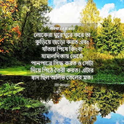 Picture 04 - গননা 11:8 BENIRV - লোকেরা ঘুরে ঘুরে - Bible Verse Picture