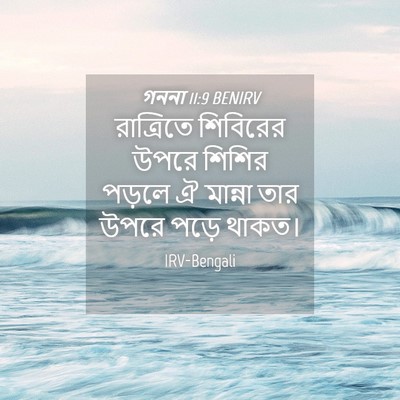 Picture 04 - গননা 11:9 BENIRV - রাত্রিতে শিবিরের - Bible Verse Picture