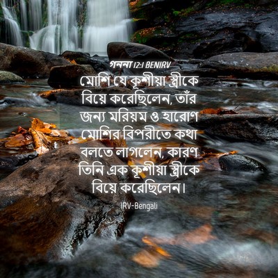 Picture 04 - গননা 12:1 BENIRV - মোশি যে কূশীয়া - Bible Verse Picture