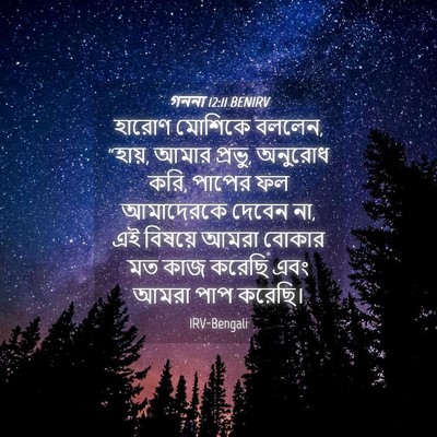 Picture 04 - গননা 12:11 BENIRV - হারোণ মোশিকে - Bible Verse Picture