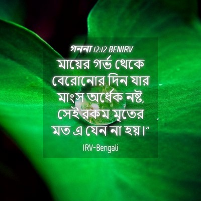 Picture 04 - গননা 12:12 BENIRV - মায়ের গর্ভ থেকে - Bible Verse Picture