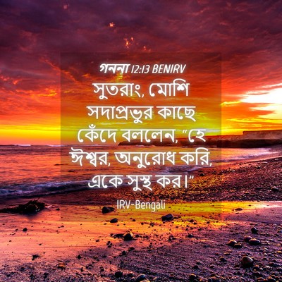 Picture 04 - গননা 12:13 BENIRV - সুতরাং, মোশি - Bible Verse Picture