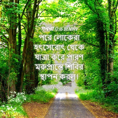 Picture 04 - গননা 12:16 BENIRV - পরে লোকেরা - Bible Verse Picture