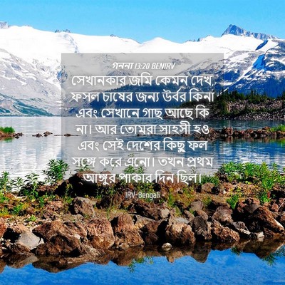 Picture 04 - গননা 13:20 BENIRV - সেখানকার জমি কেমন - Bible Verse Picture