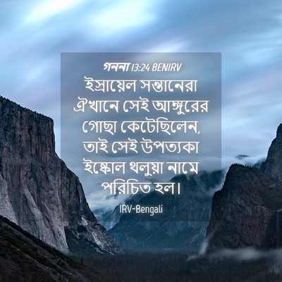 Picture 04 - গননা 13:24 BENIRV - ইস্রায়েল - Bible Verse Picture