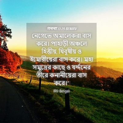 Picture 04 - গননা 13:29 BENIRV - নেগেভে অমালেকরা - Bible Verse Picture