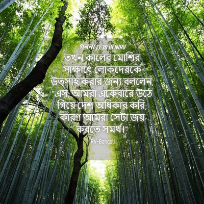 Picture 04 - গননা 13:30 BENIRV - তখন কালেব মোশির - Bible Verse Picture