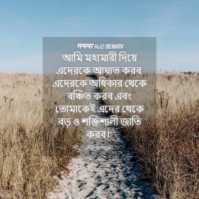 Picture 04 - গননা 14:12 BENIRV - আমি মহামারী দিয়ে - Bible Verse Picture