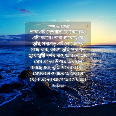 Picture 04 - গননা 14:14 BENIRV - তারা এই দেশবাসী - Bible Verse Picture