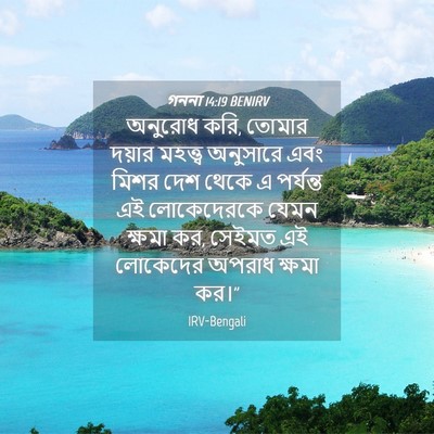 Picture 04 - গননা 14:19 BENIRV - অনুরোধ করি, তোমার - Bible Verse Picture
