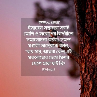 Picture 04 - গননা 14:2 BENIRV - ইস্রায়েল - Bible Verse Picture